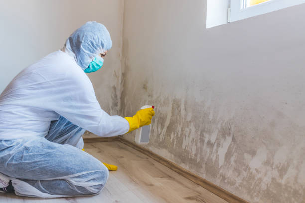 Commercial Mold Remediation assessment for commercial property in Kirkland
